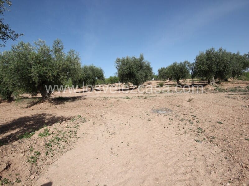 Ruin til salg i Velez-Rubio - € 49.950 (Ref: 7522115)