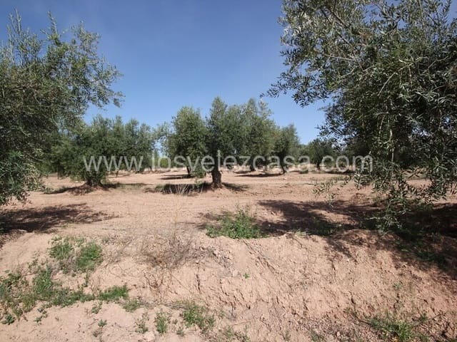 Ruin for sale in Vélez-Rubio - € 49,950 (Ref: 7522115)