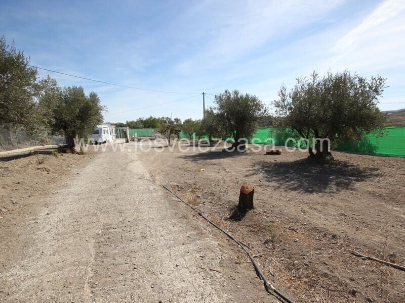 3 soveværelse Finca/Landehus til salg i Velez-Rubio - € 105.000 (Ref: 7563681)