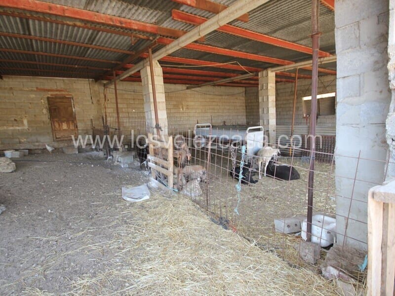 Finca/Country House for sale in Murcia city - € 99,500 (Ref: 8552289)
