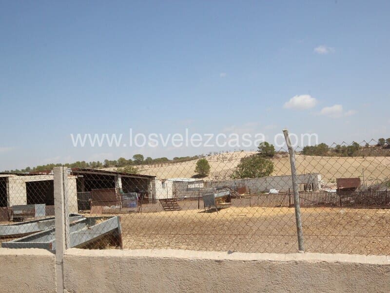 Finca/Country House for sale in Murcia city - € 99,500 (Ref: 8552289)