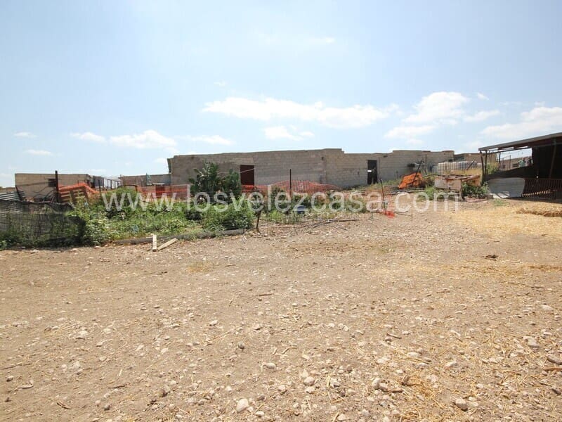 Finca/Country House for sale in Murcia city - € 99,500 (Ref: 8552289)