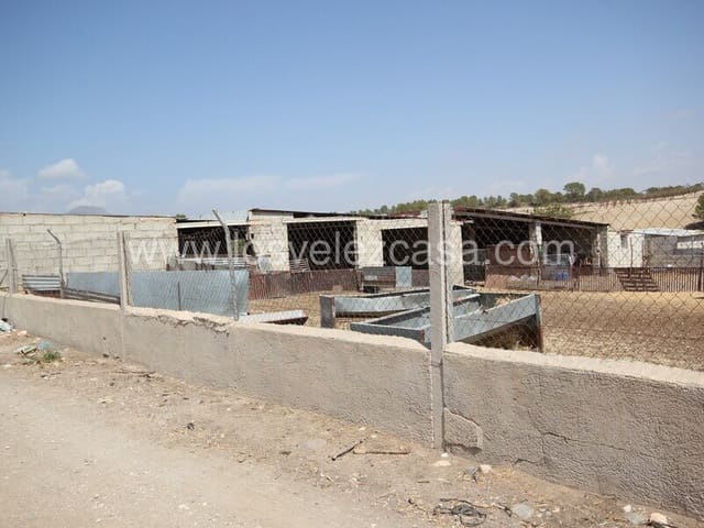 Finca/Herregård til salgs i Murcia by - € 99 500 (Ref: 8552289)