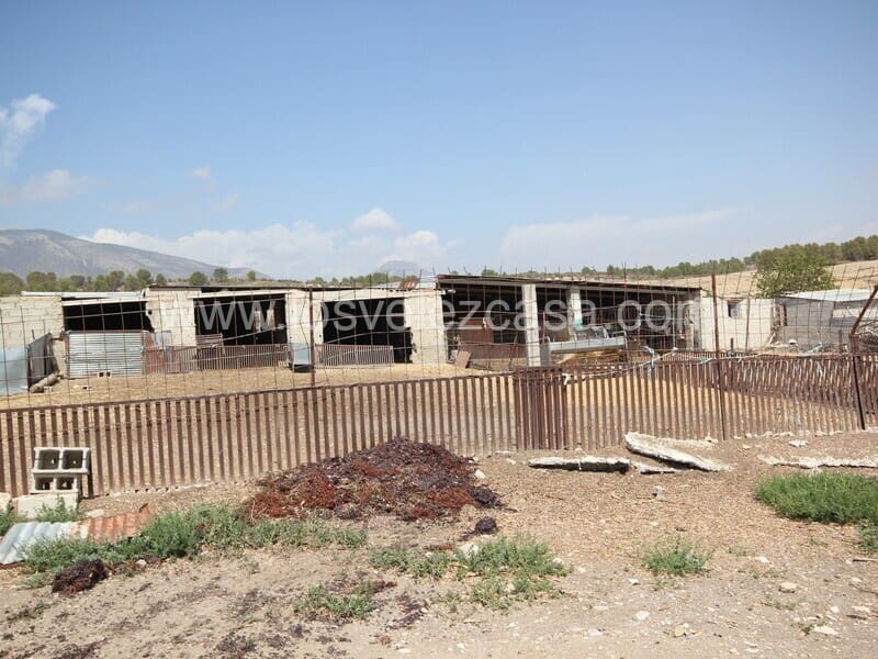 Finca/Country House for sale in Murcia city - € 99,500 (Ref: 8552289)