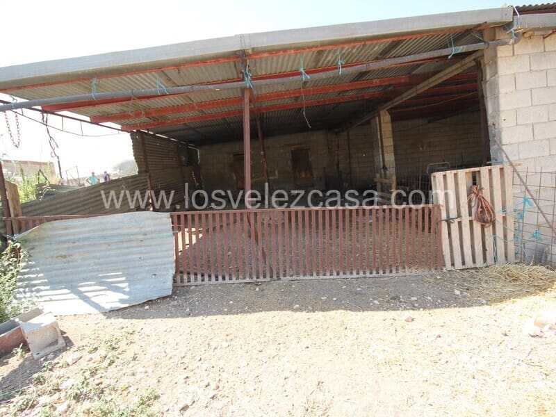 Finca/Country House for sale in Murcia city - € 99,500 (Ref: 8552289)