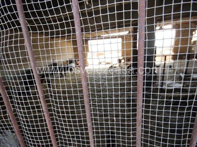 Finca/Herregård til salgs i Murcia by - € 99 500 (Ref: 8552289)