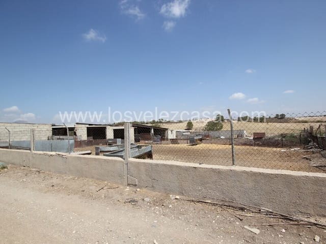 Finca/Herregård til salgs i Murcia by - € 99 500 (Ref: 8552289)