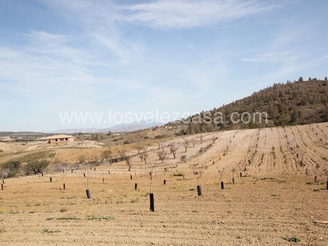 3 soverom Finca/Herregård til salgs i La Parroquia, Lorca - € 97 500 (Ref: 8842239)