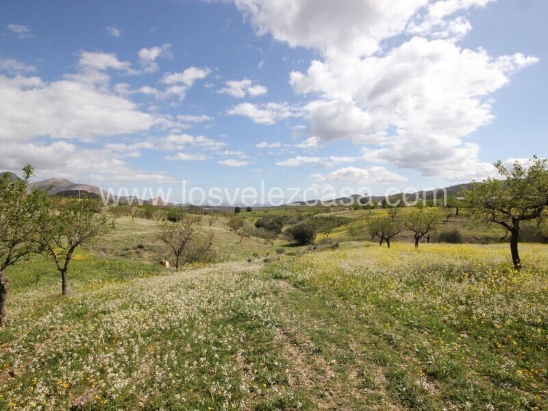 4 soveværelse Finca/Landehus til salg i Velez-Rubio - € 80.000 (Ref: 8929474)