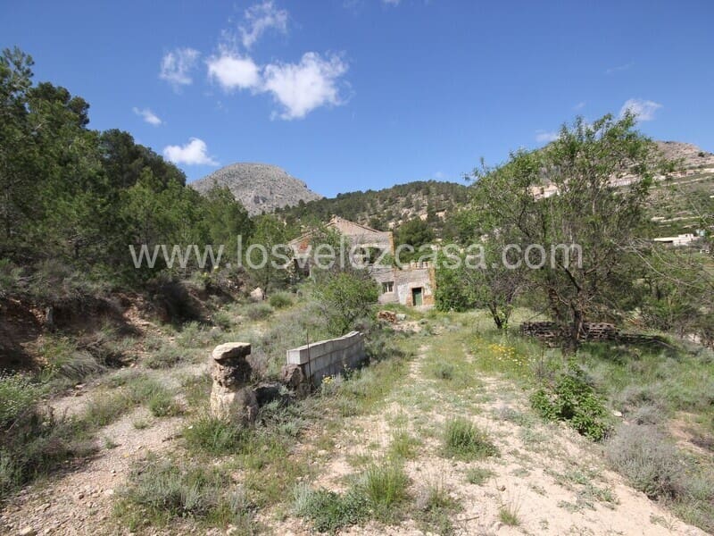 6 soveværelse Finca/Landehus til salg i Velez-Blanco - € 64.000 (Ref: 9006124)