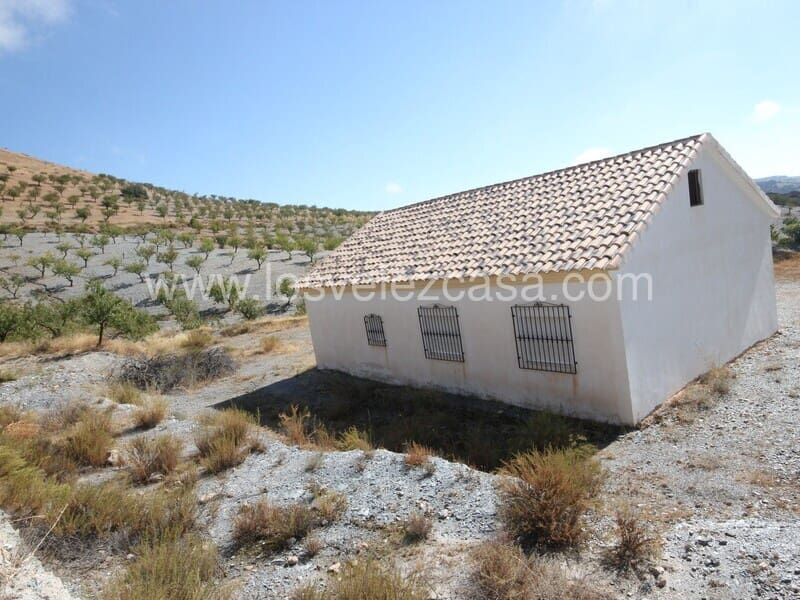 3 sypialnia Finka/Dom wiejski na sprzedaż w El Bancalejo - 170 000 € (Ref: 9568032)