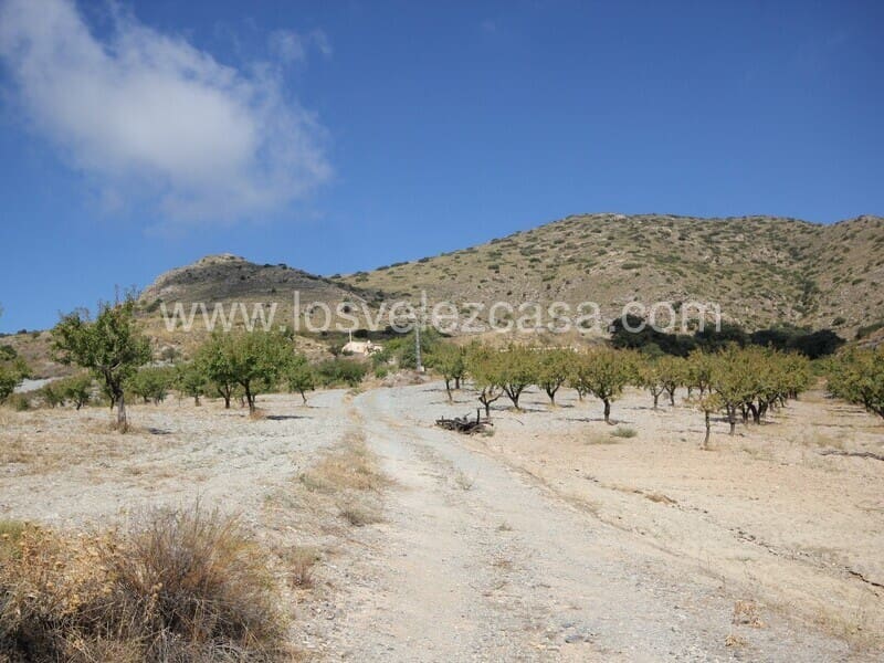 3 sypialnia Finka/Dom wiejski na sprzedaż w El Bancalejo - 170 000 € (Ref: 9568032)