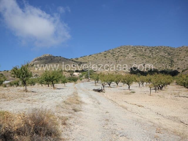 3 sypialnia Finka/Dom wiejski na sprzedaż w El Bancalejo, Vélez-Rubio - 170 000 € (Ref: 9568032)