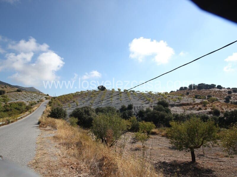 Terreno/Finca Rústica en El Bancalejo en venta - 55.000 € (Ref: 9591937)