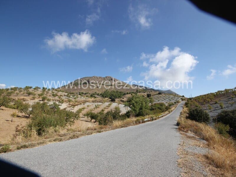 Terreno/Finca Rústica en El Bancalejo en venta - 55.000 € (Ref: 9591937)