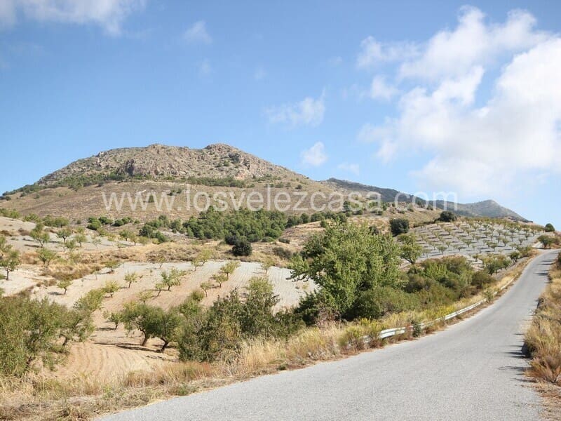 Terreno/Finca Rústica en El Bancalejo en venta - 55.000 € (Ref: 9591937)