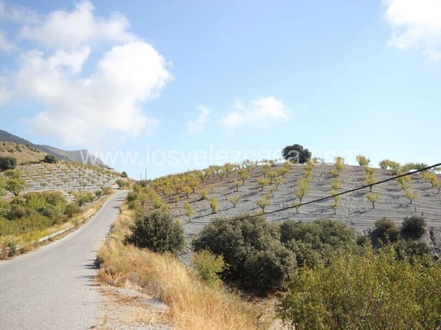 Landgrundstück zu verkaufen in El Bancalejo, Vélez-Rubio - 55.000 € (Ref: 9591937)