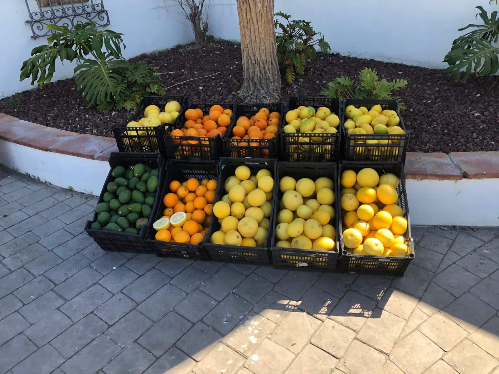 4 soverom Finca/Herregård til salgs i Estepona med svømmebasseng garasje - € 1 695 000 (Ref: 9146277)