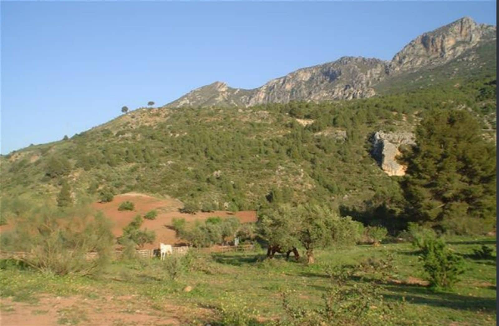 3 bedroom Wooden Home for sale in Ardales with pool garage - € 425,000 (Ref: 9631859)