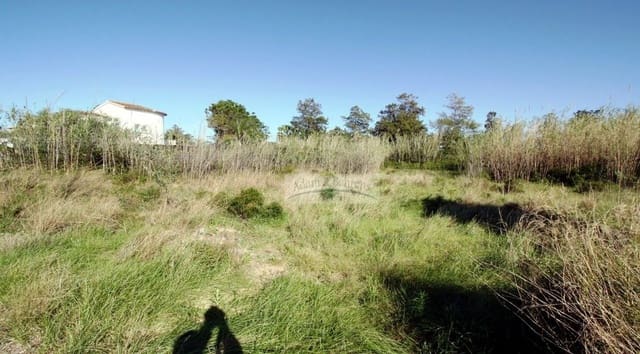 Undeveloped Land for sale in Oliva Nova, Oliva - € 410,000 (Ref: 6860103)