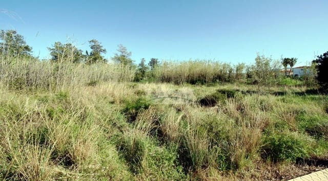 Undeveloped Land for sale in Oliva Nova, Oliva - € 410,000 (Ref: 6860103)