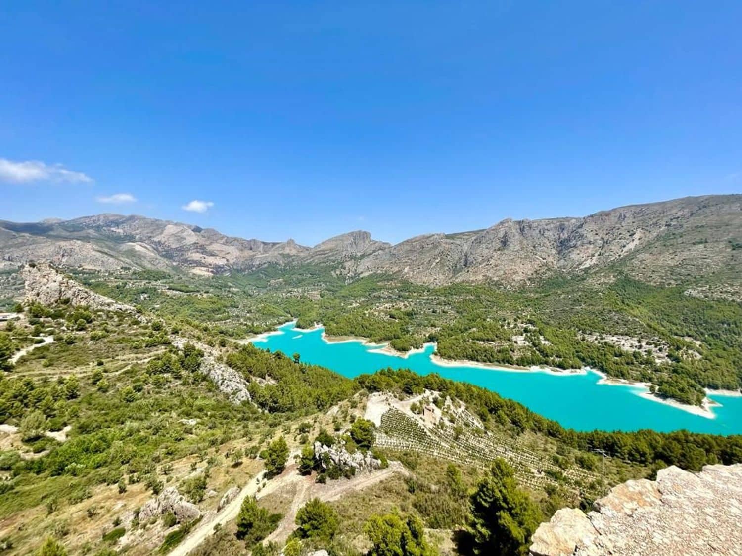 Undeveloped Land for sale in Oliva Nova - € 410,000 (Ref: 6860103)