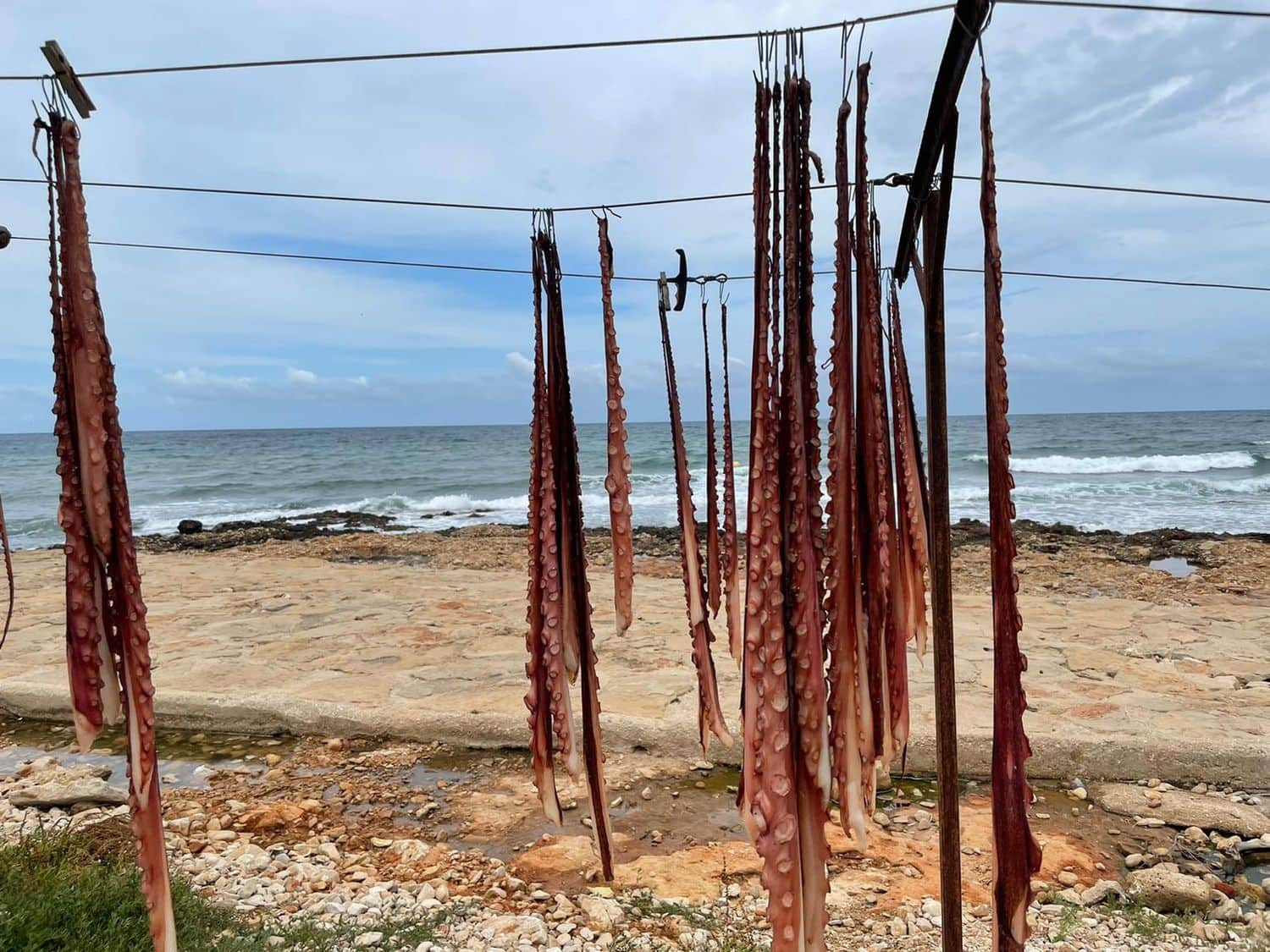 14 soverom Finca/Herregård til salgs i Els Poblets med svømmebasseng garasje - € 2 500 000 (Ref: 9294553)