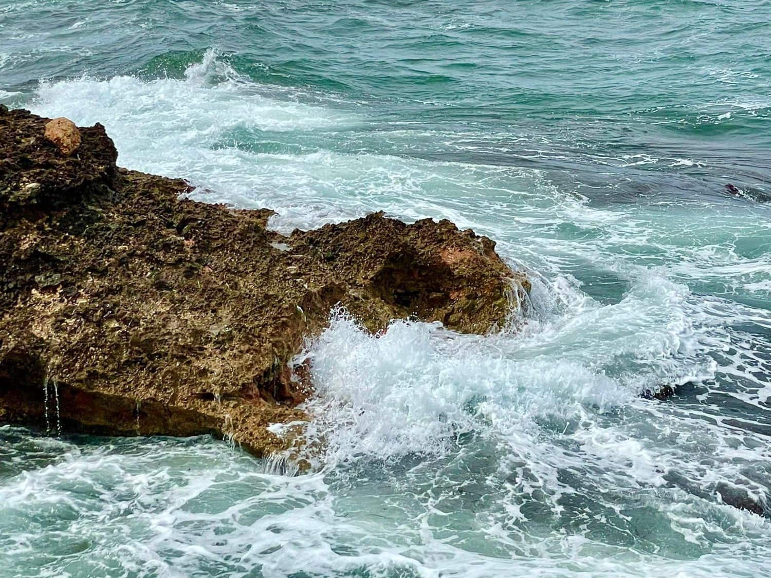 14 soverom Finca/Herregård til salgs i Els Poblets med svømmebasseng garasje - € 2 500 000 (Ref: 9294553)