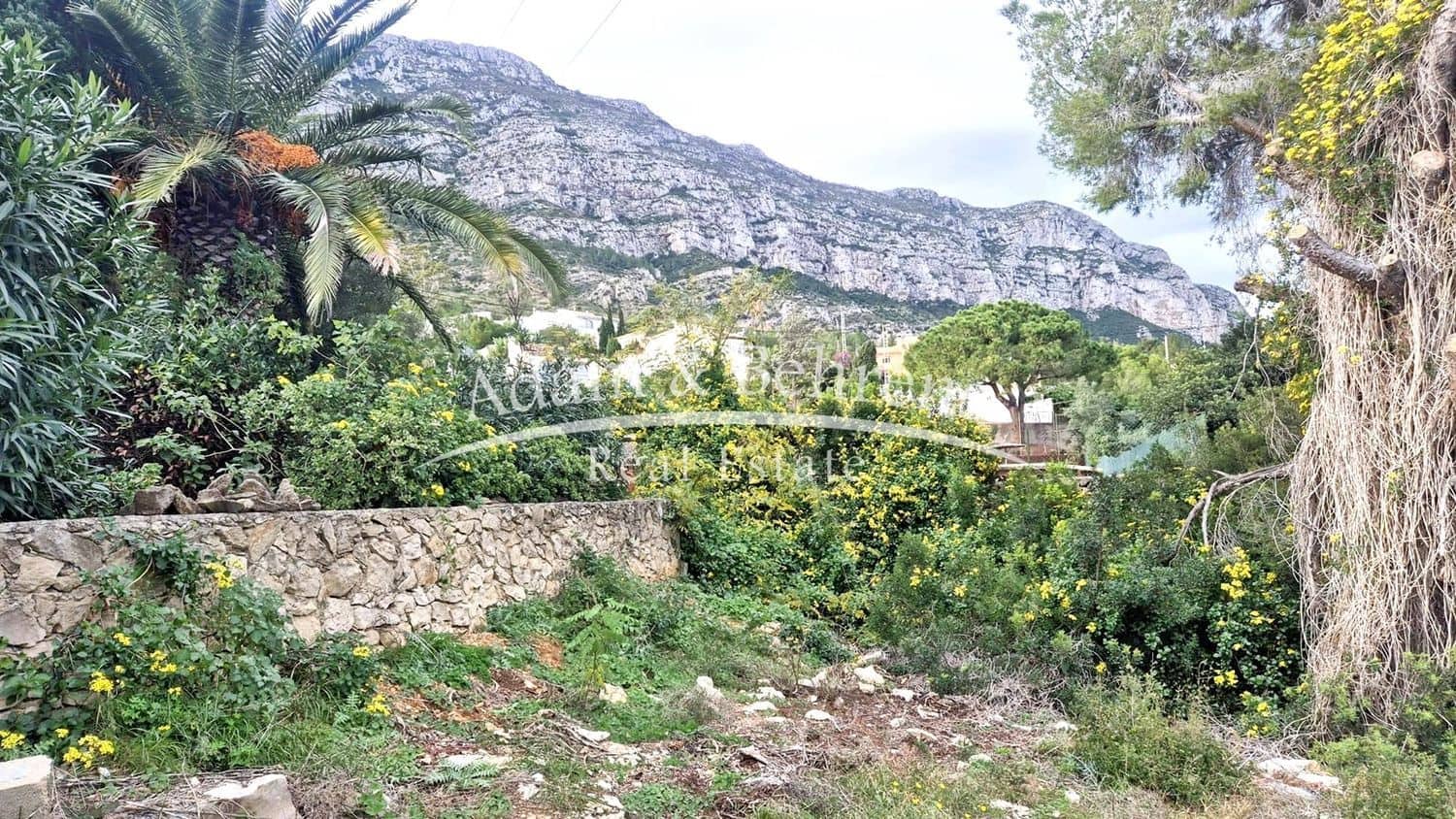 Terreno Não Urbanizado para venda em Denia - 198 000 € (Ref: 9471909)