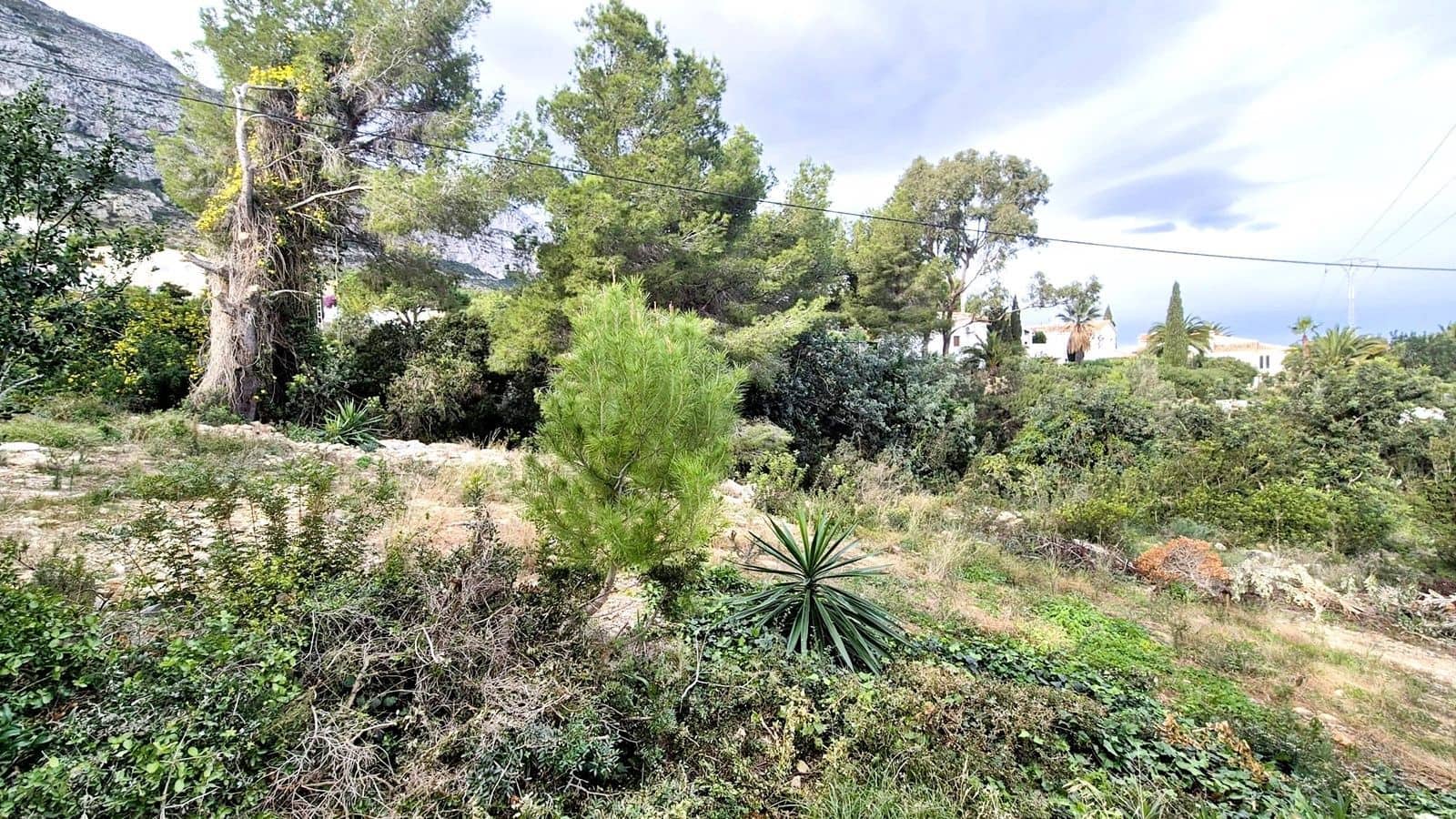 Building Plot for sale in Denia - € 198,000 (Ref: 9471909)