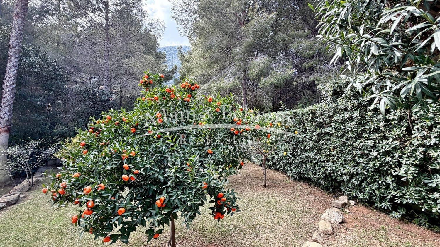 3 camera da letto Villa in vendita in Alicante citta con piscina garage - 485.000 € (Rif: 9654531)