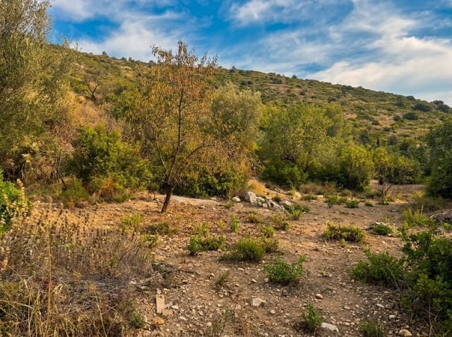Area Edificabile in vendita in Llosa de Camacho, Alcalalí / Alcanalí - 120.000 € (Rif: 9993798)