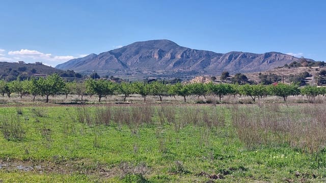 3 soveværelse Villa til salg i Hondón de las Nieves med swimmingpool - € 357.250 (Ref: 9697941)