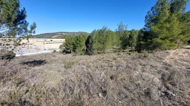 Mark till salu i Biar - 495 000 € (Ref: 9810936)
