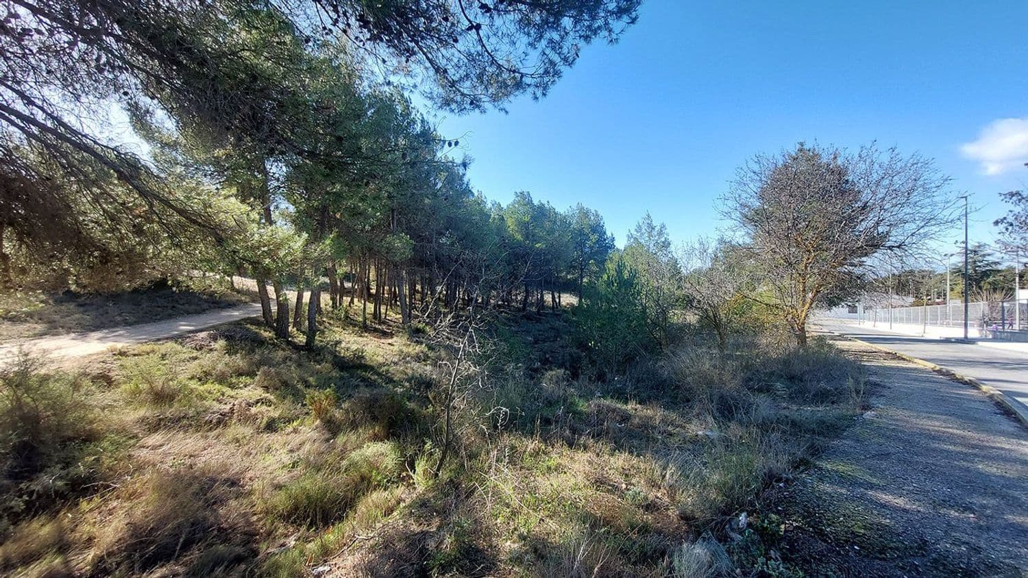 Mark till salu i Biar - 495 000 € (Ref: 9810936)