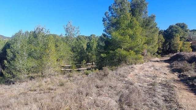 Mark till salu i Biar - 495 000 € (Ref: 9810936)