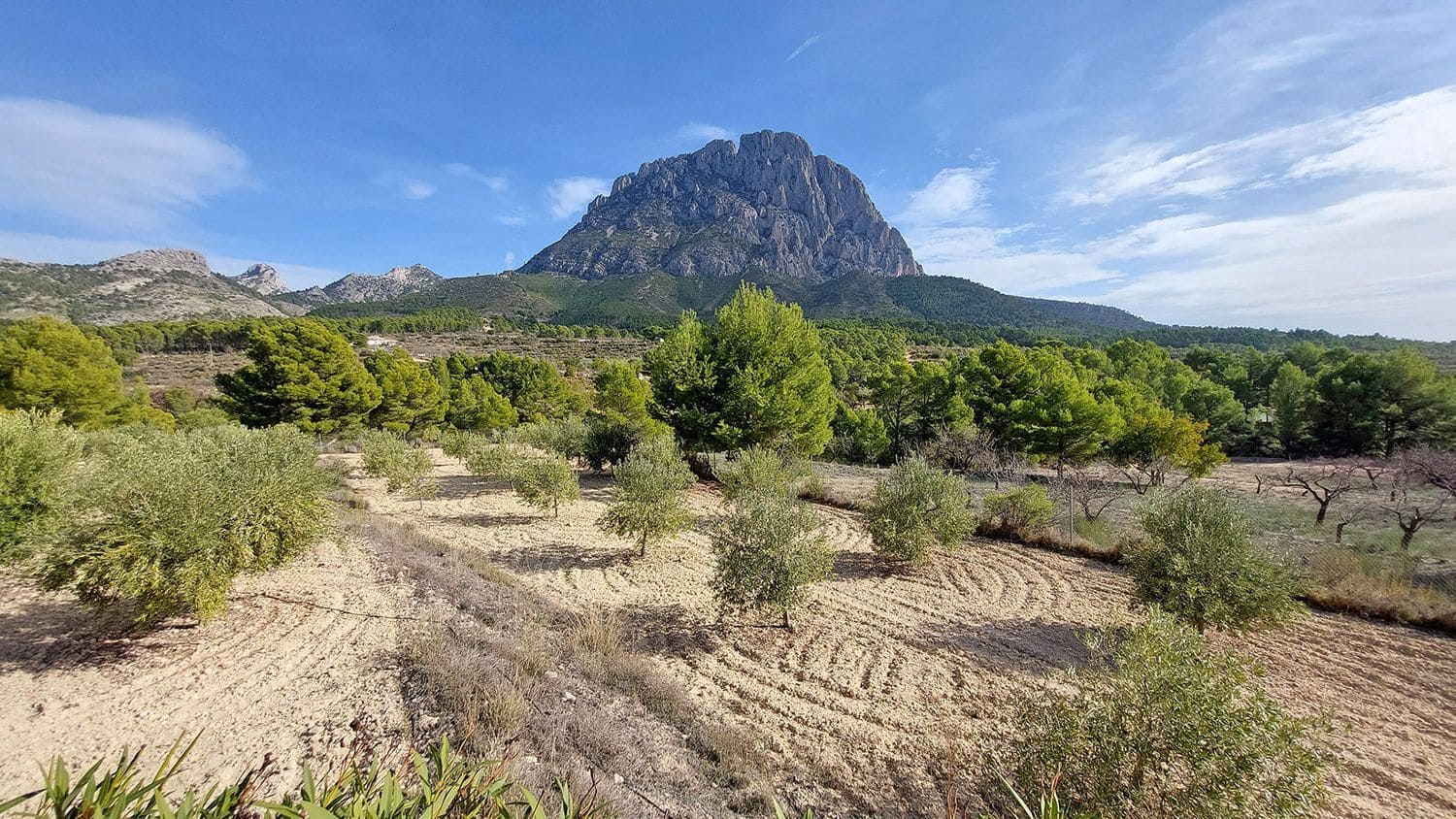 5 chambre Finca/Maison de Campagne à vendre à Finestrat avec piscine garage - 895 000 € (Ref: 9864109)