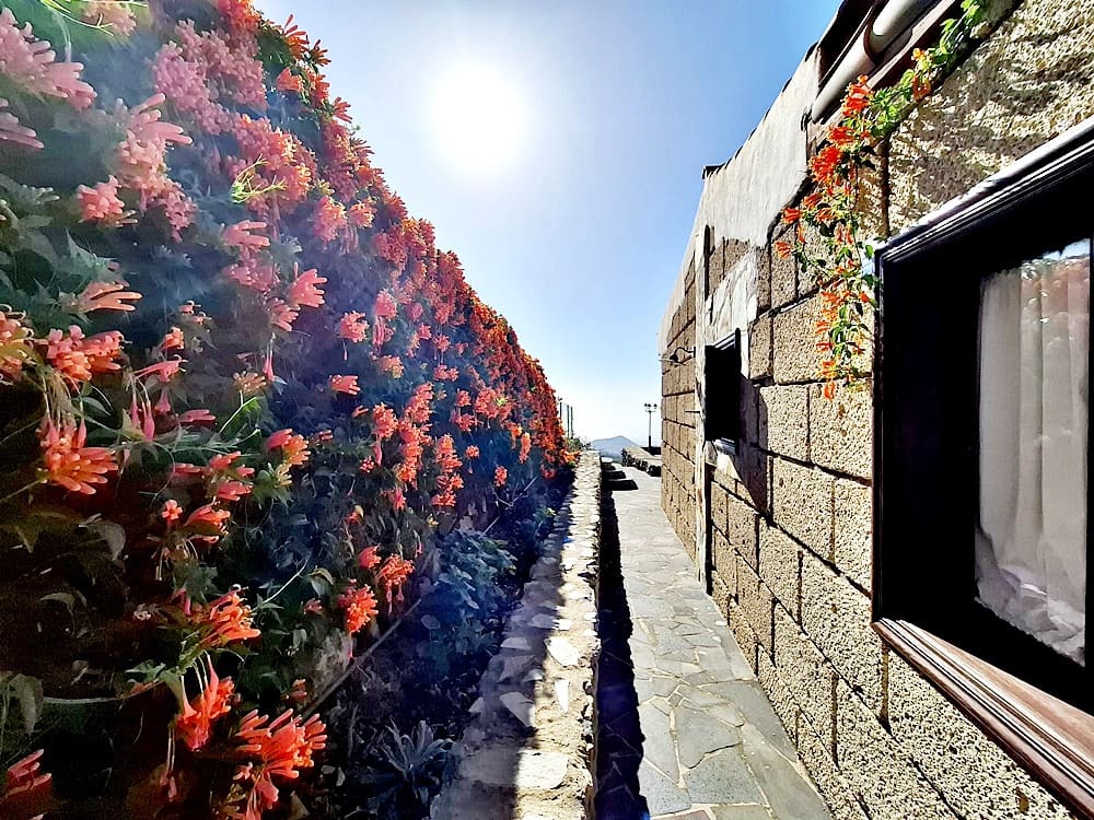 2 chambre Villa/Maison à vendre à Cruz de Tea - 425 000 € (Ref: 8686926)