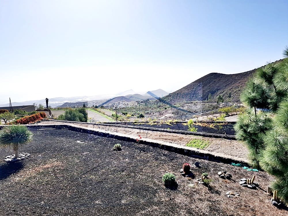 2 chambre Villa/Maison à vendre à Cruz de Tea - 425 000 € (Ref: 8686926)