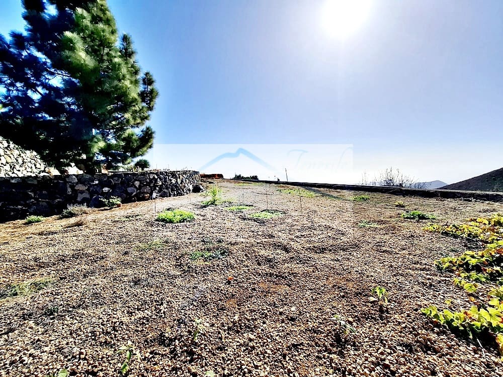 2 chambre Villa/Maison à vendre à Cruz de Tea - 425 000 € (Ref: 8686926)