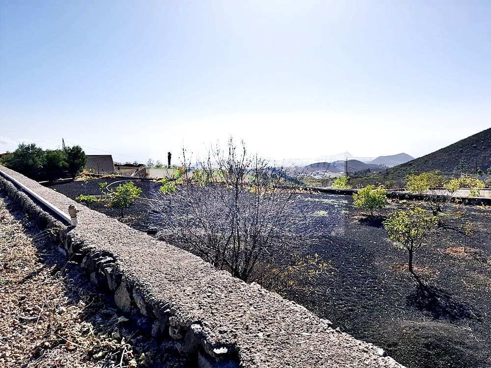 2 chambre Villa/Maison à vendre à Cruz de Tea - 425 000 € (Ref: 8686926)