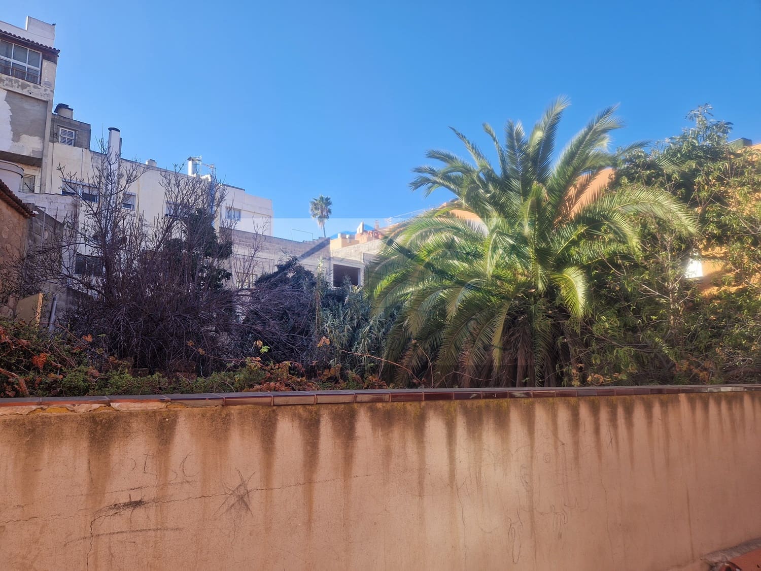 Terreno para Construção para venda em Granadilla de Abona - 56 000 € (Ref: 8877459)