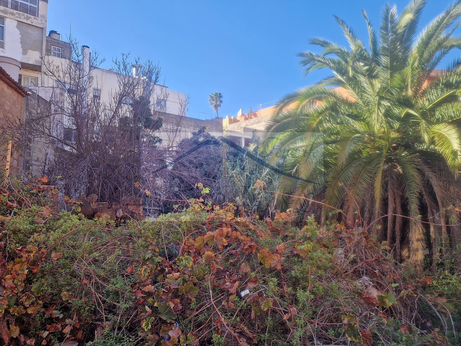 Terreno para Construção para venda em Granadilla de Abona - 56 000 € (Ref: 8877459)