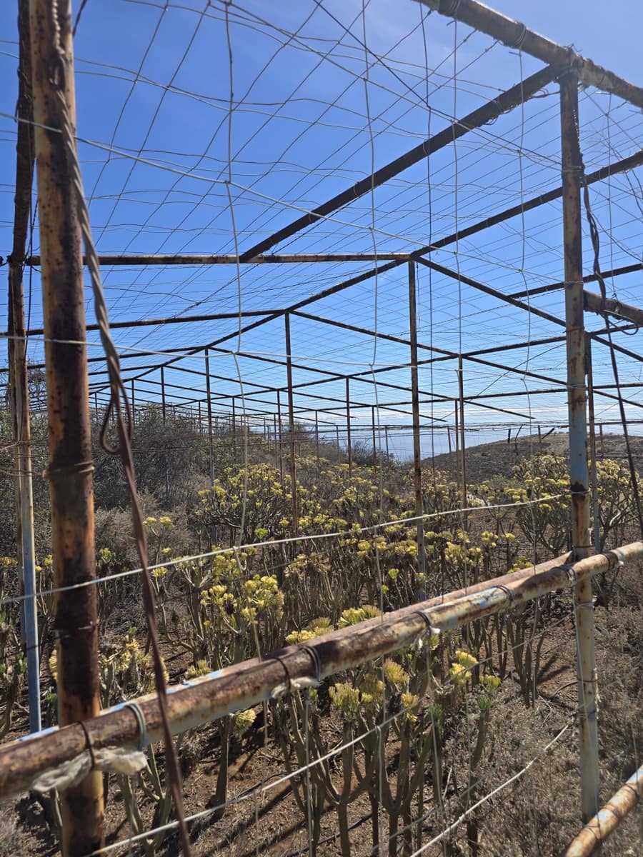 Building Plot for sale in El Escobonal - € 69,000 (Ref: 9488531)