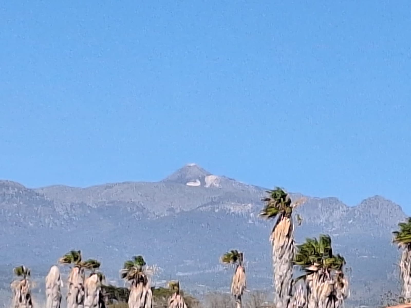 2 soveværelse Lejlighed til salg i Amarilla Golf med swimmingpool - € 430.000 (Ref: 8689957)