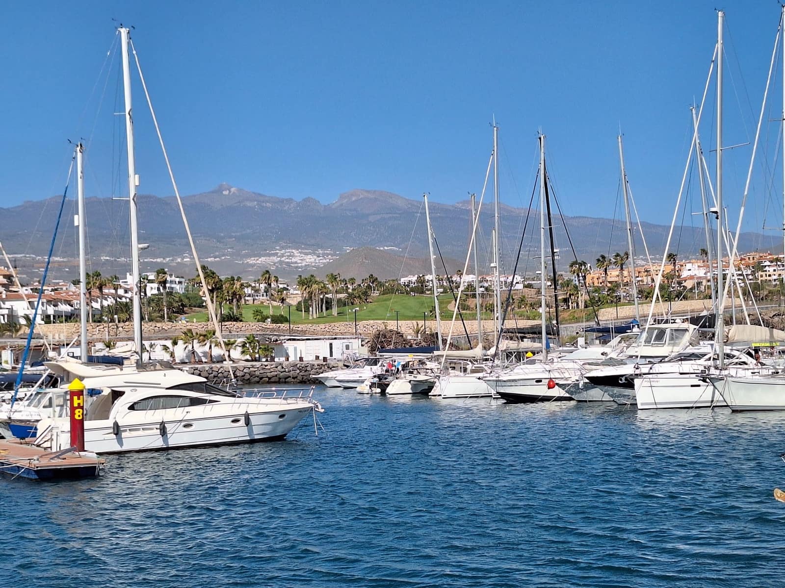 2 soveværelse Lejlighed til salg i Amarilla Golf med swimmingpool - € 430.000 (Ref: 8689957)