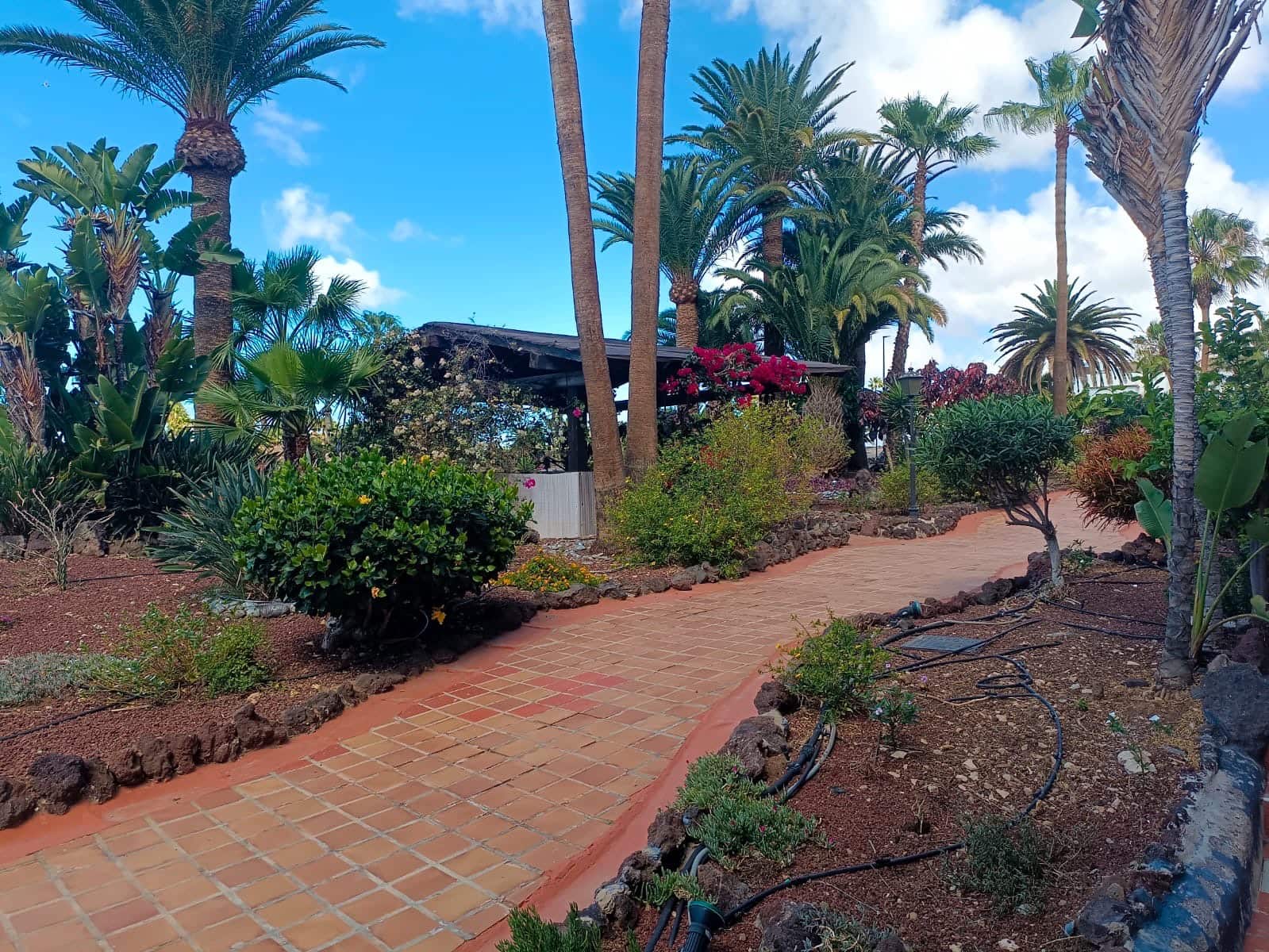 2 sovrum Lägenhet till salu i Amarilla Golf med pool garage - 260 000 € (Ref: 9058240)