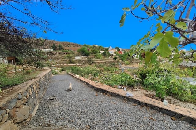 4 soverom Finca/Herregård til salgs i Granadilla de Abona med svømmebasseng - € 555 000 (Ref: 9332759)