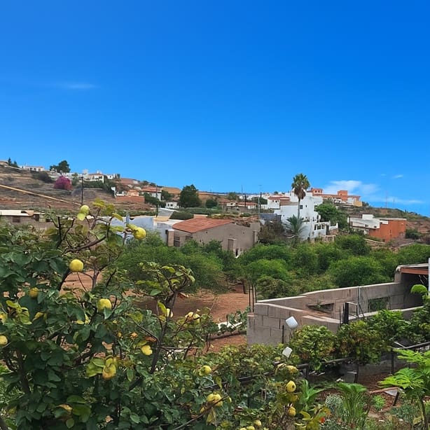 4 quarto Quinta/Casa Rural para venda em Granadilla de Abona com piscina garagem - 549 000 € (Ref: 9332759)