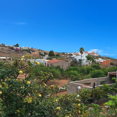Finca/Casa Rural de 4 habitaciones en Granadilla de Abona en venta con piscina - 549.000 € (Ref: 9332759)